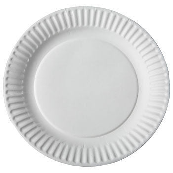 9" Uncoated Paper Plate, 100 per package - Thebestpartydeals