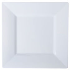Solid Square Collection, Complete Disposable Place Setting for 10 - Thebestpartydeals